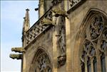 085 Gargoyles in Schwaebisch Gmuend
